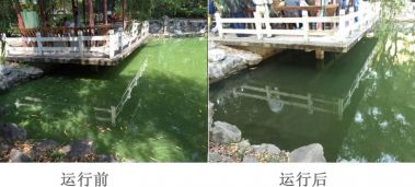 上海楊浦區(qū)某公園水體8000㎡