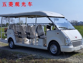 五菱敞開(kāi)11座觀光車(chē)